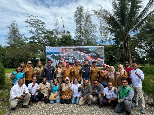 Hadir Plh Kabid Keswan dan staff dalam Acara Pelepasliaran 4.605 Ekor Carettochelys Insculpta di Hutan Adat Kampung Nayaro